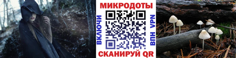 Галлюциногенные грибы Psilocybine cubensis  Горнозаводск 